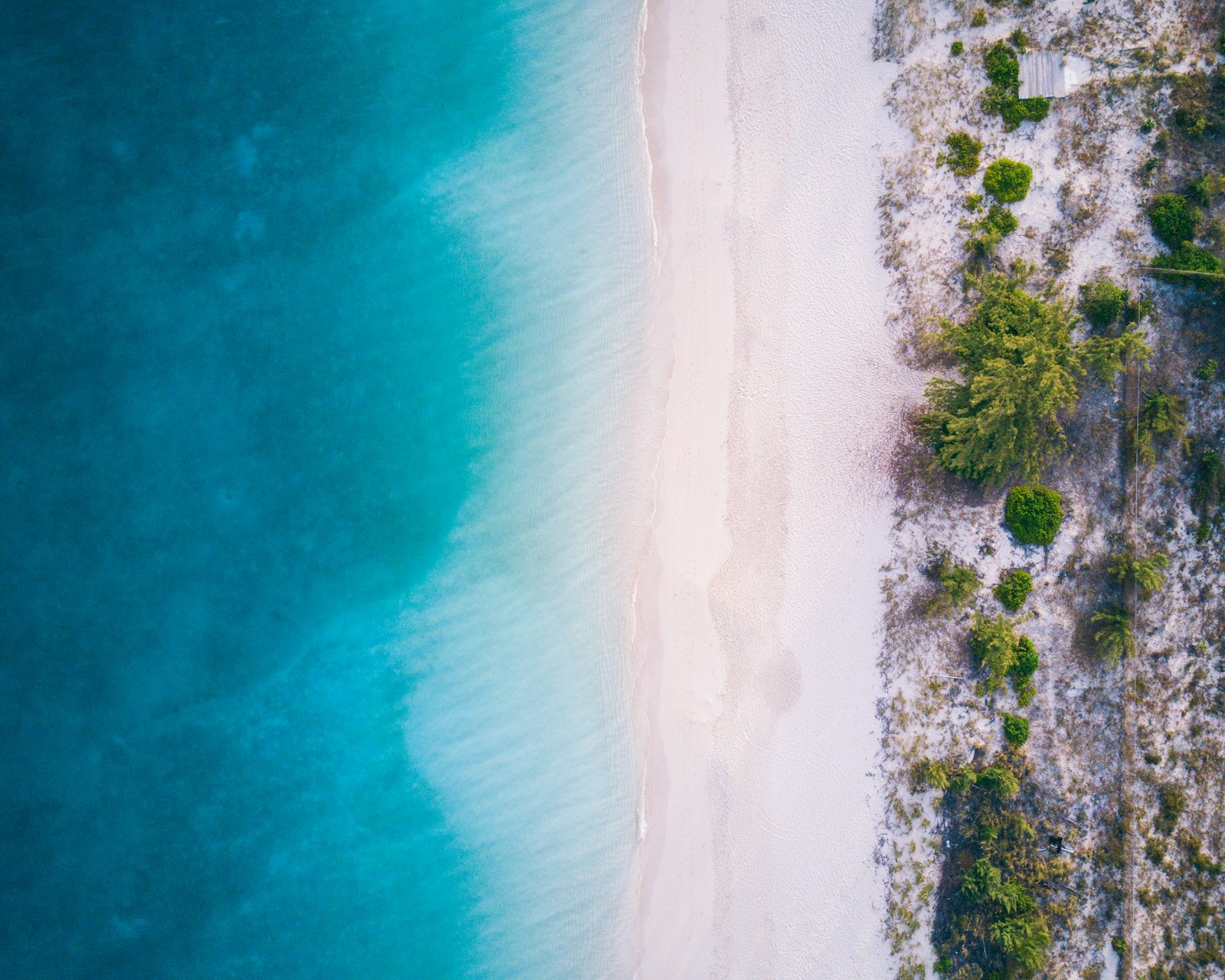 Turquoise sea and white sand shoreline in Turks and Caicos